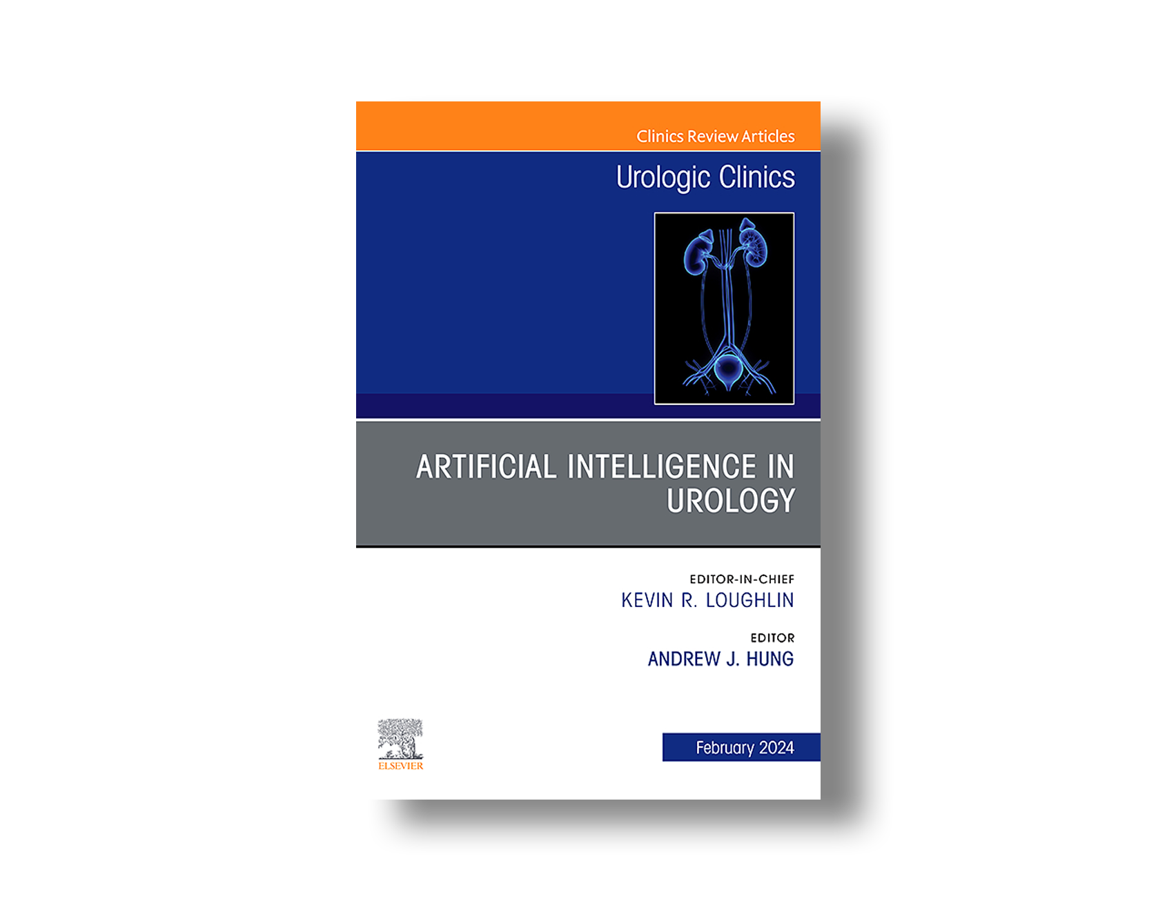 Chemolysis of Urinary Calculi